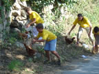 Ver�n 2007